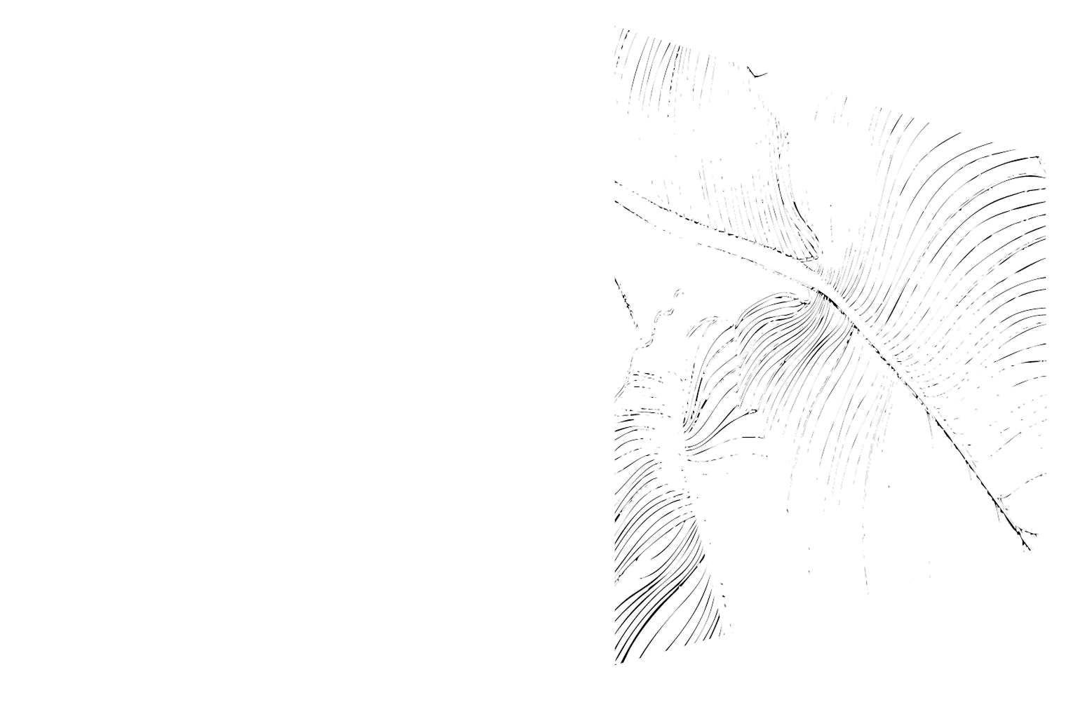 ALIX-skizzen-wand-dekor