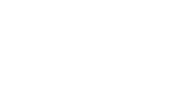 38.5 Logo